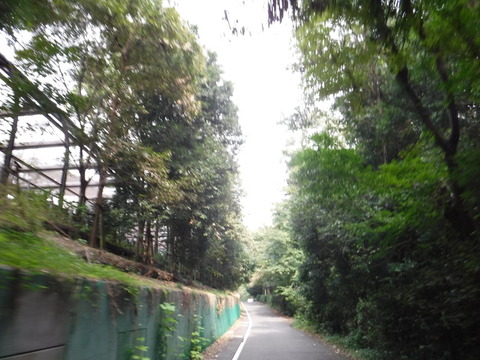 DSCF2197