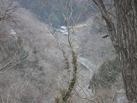 DSCF7891