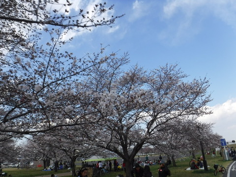 DSCF7972