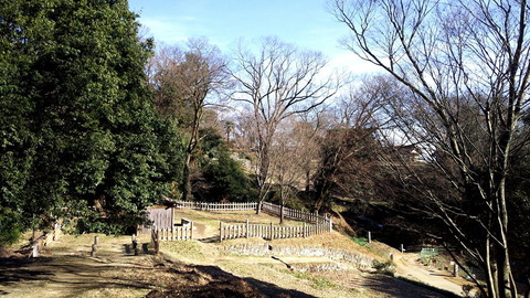 20161229_132607539