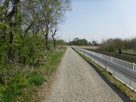 DSCF8487