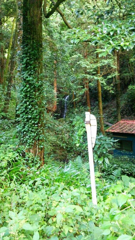 runtastic2014-08-31_06_43_43