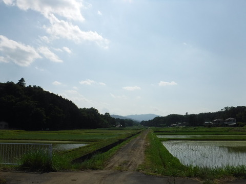 DSCF0336
