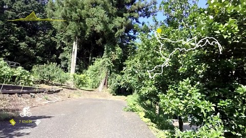 鎌北湖.mp4_007422648