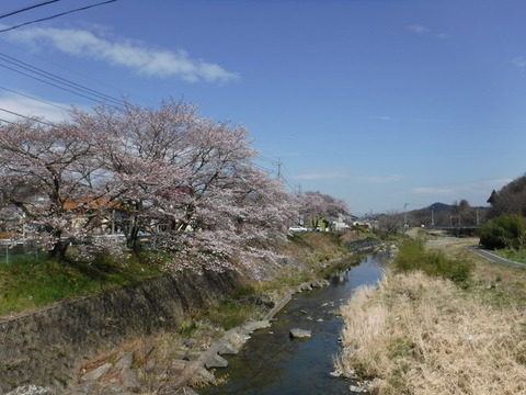 DSCF0049