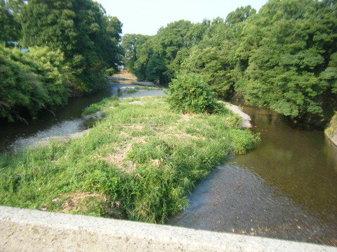 DSCF2393