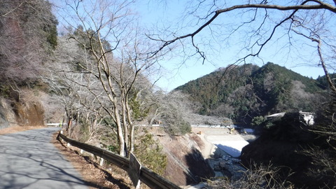 DSCF4118