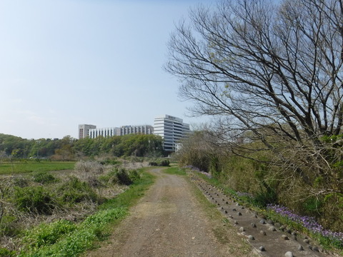 DSCF8503