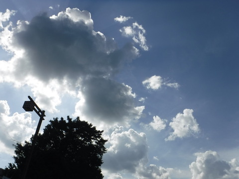 DSCF6025