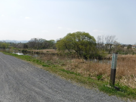 DSCF8489
