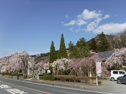 DSCF0069