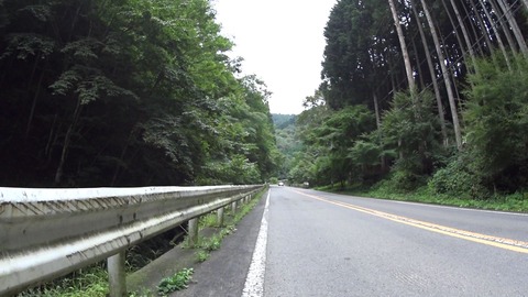 MP4_000175602