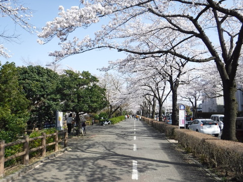 DSCF8152