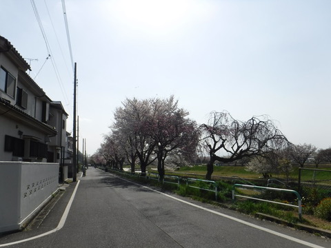 DSCF8139