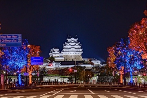 light and the World Heritage site Himeji Castle