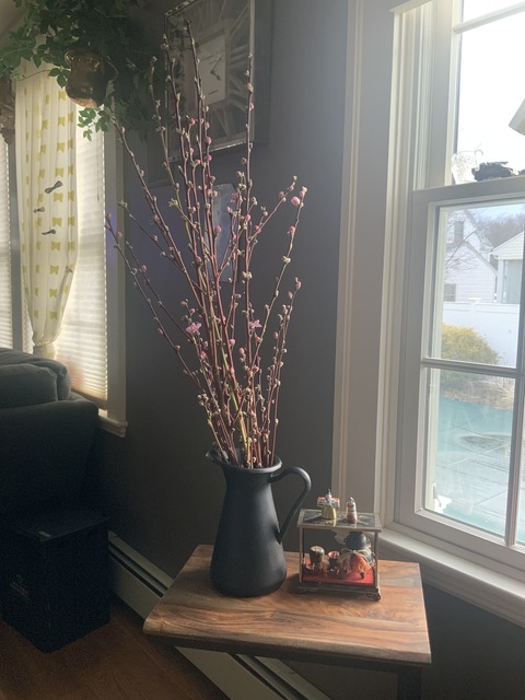 桜の枝を飾りました アメリカ で主婦ライフ 桜の枝を飾りました アメリカ で主婦ライフ