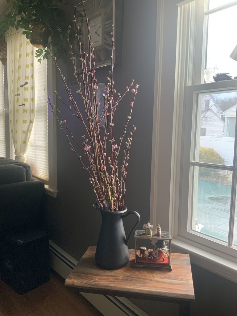 桜の枝を飾りました アメリカ で主婦ライフ
