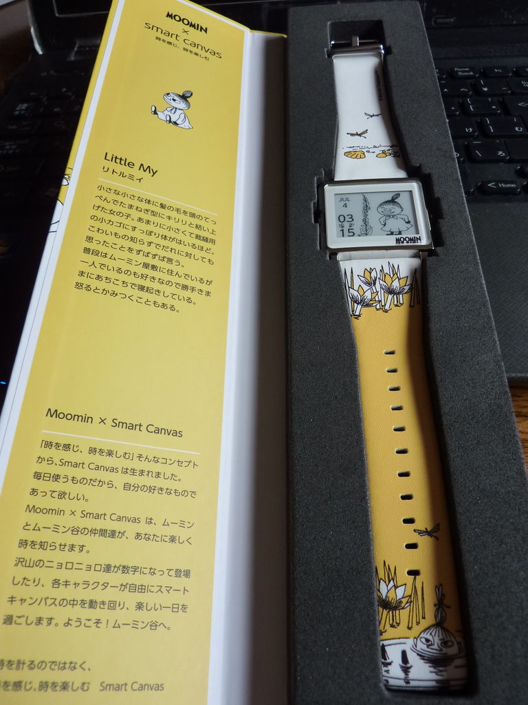 ムーミン・リトルミイ 2015夏期限定モデル epson スマートキャンバス
