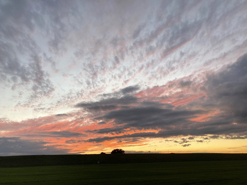 吹流し撤収時の夕焼け