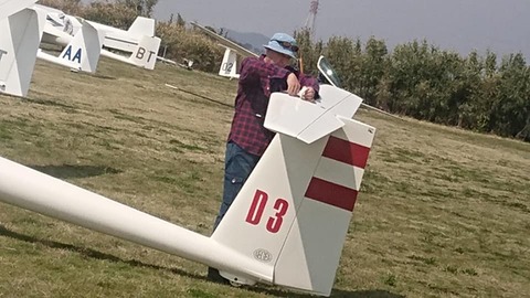 D3