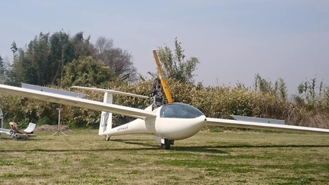 DG