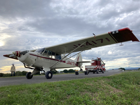 ハスキー土手越え