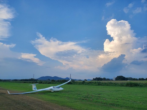 54267-vpigastn-large