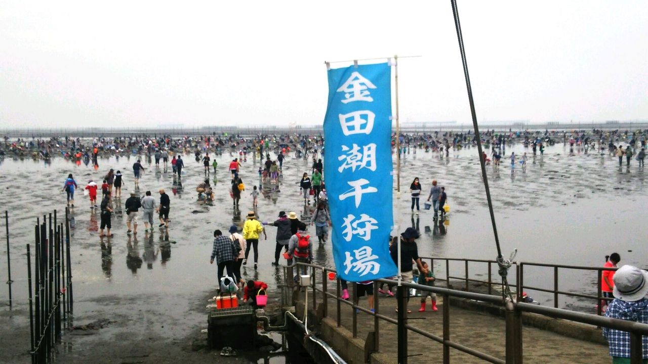 木更津 金田海岸へ潮干狩り 日本全国tc 添乗員 の旅 木更津 金田海岸へ潮干狩り 日本全国tc 添乗員 の旅