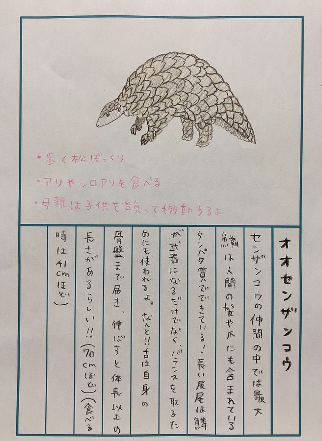 田村響華さんの 92日後に終わる絵日記 にて オオセンザンコウ と アフリカタテガミヤマアラシ の絵日記図鑑が公開 ジャパリ通信 けもフレというキセキに感謝を