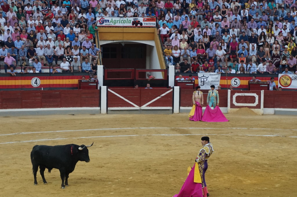 スペインの伝統 闘牛観戦 スペインに住んでみたばい