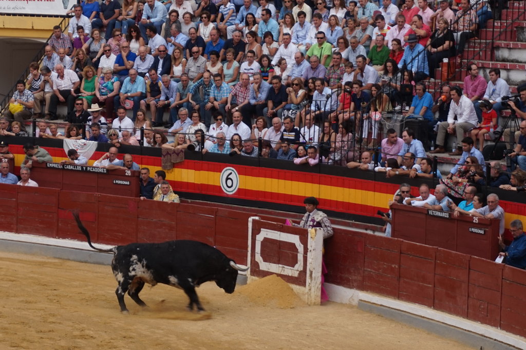 スペインの伝統 闘牛観戦 スペインに住んでみたばい