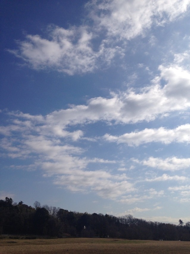 2015-02-27-09-31-49