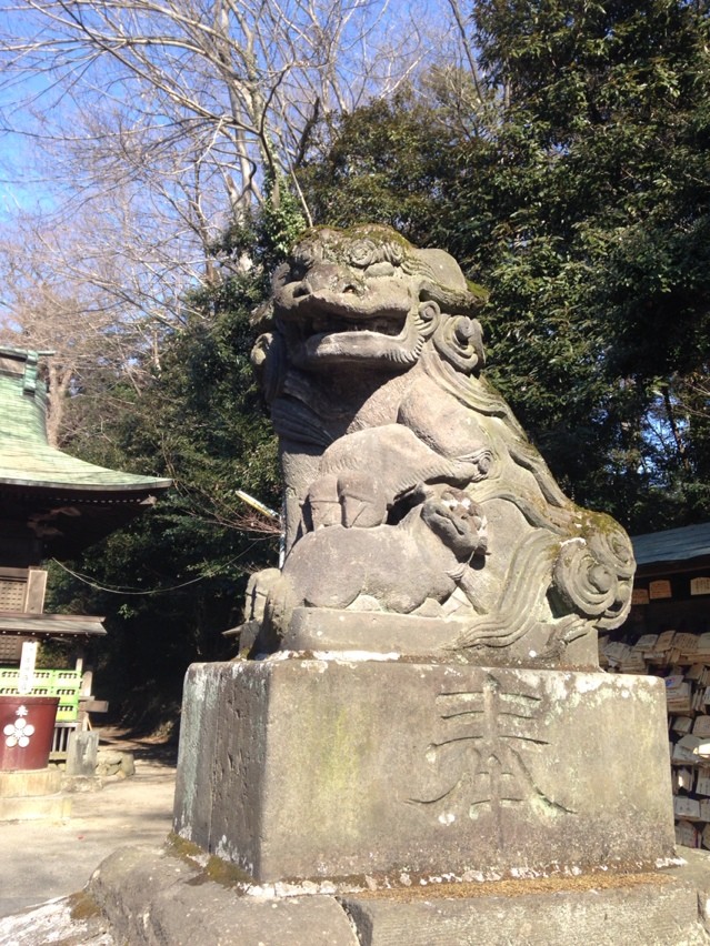 2015-01-11-11-34-54