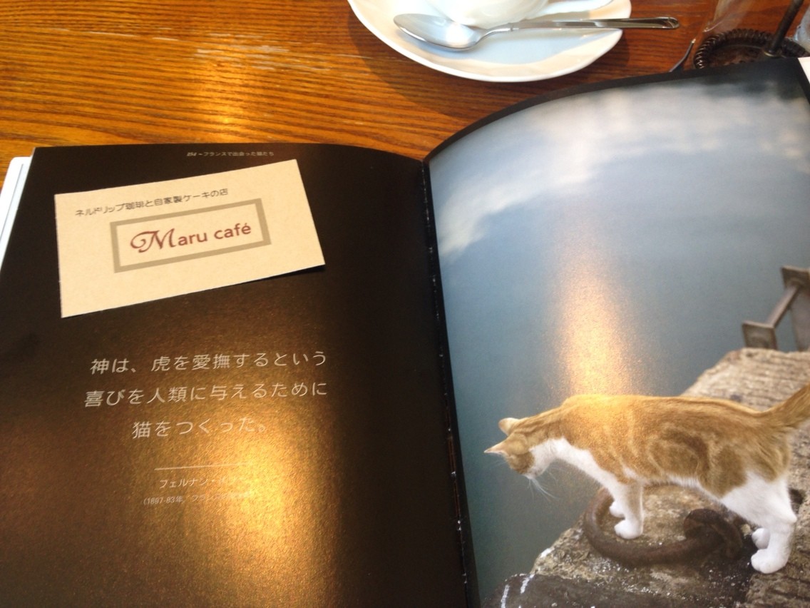 じゃらん日誌 猫 じゃらんじゃらんの杜 じゃらん日誌 猫 じゃらんじゃらんの杜