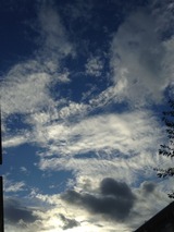 ee4501b6.jpg