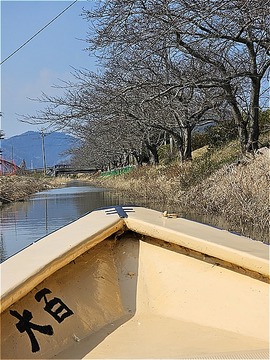s2 (62)