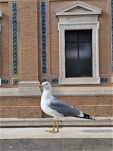 イタリア・ドイツ2024】3日目－(1) ヴァチカン美術館 その1