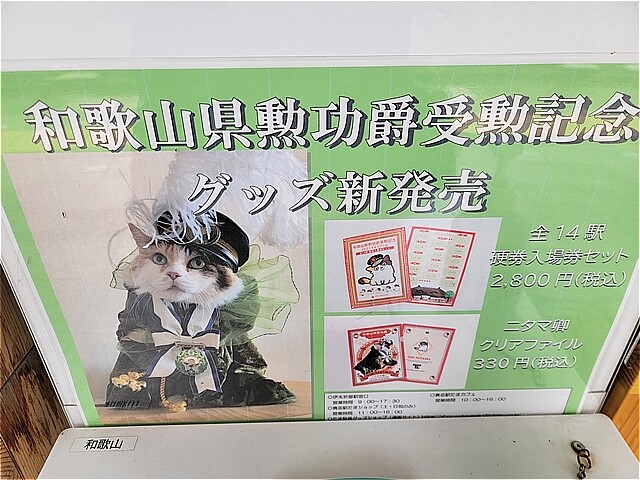 戦後の出発: 文化運動・青年団・戦争未亡人 (AOKI LIBRARY 日本