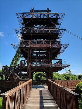 o1 (22)