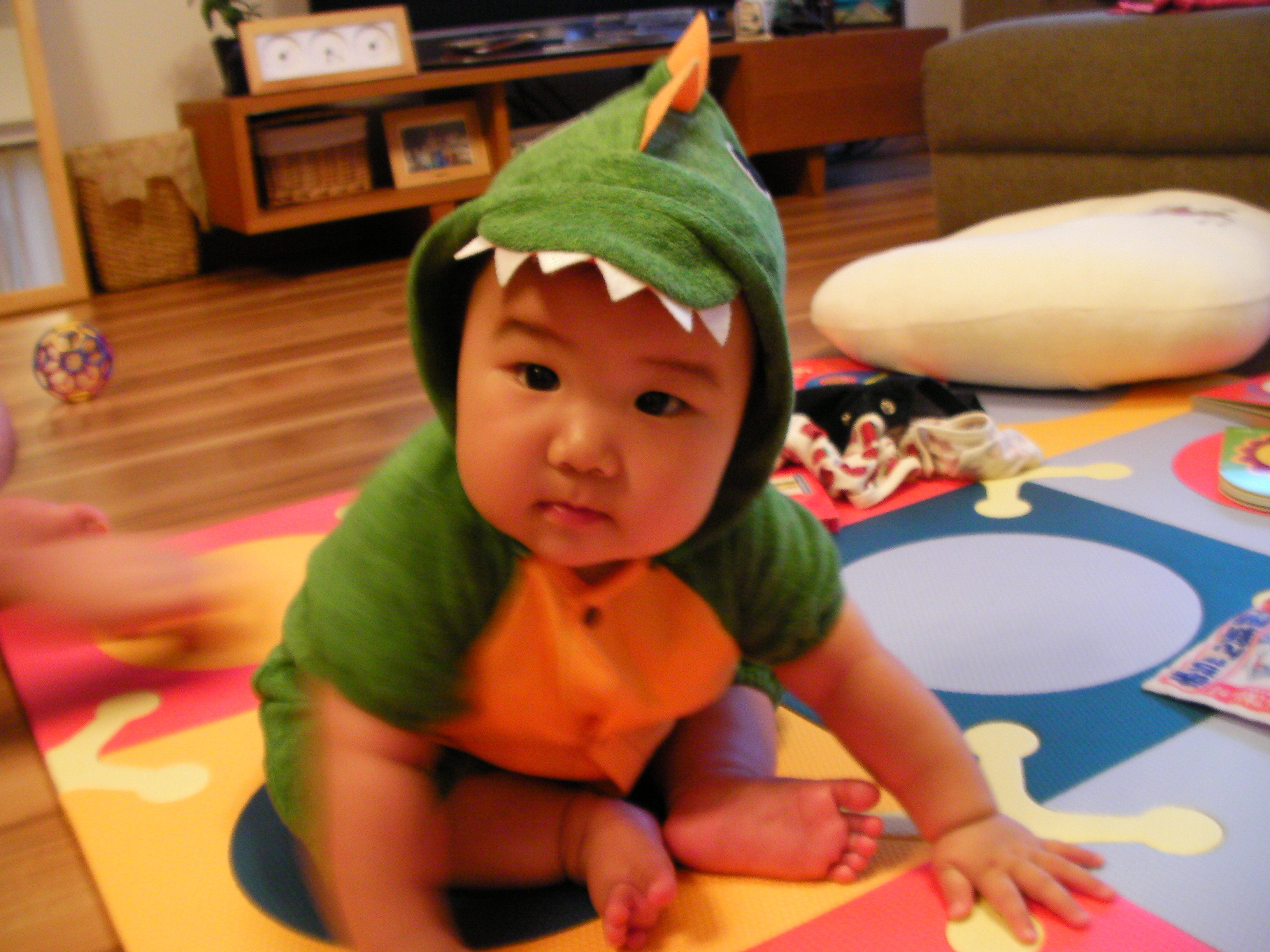 怪獣 マナゴン 日常生活