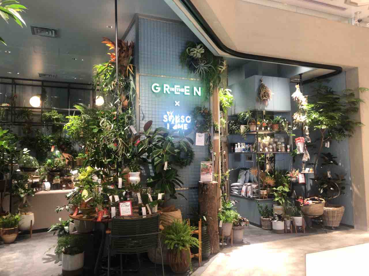 日本橋高島屋sc新館 In The Greenのワークショップでボタニカルシャーレキャンドル作りを体験してきました Kuruminのblog