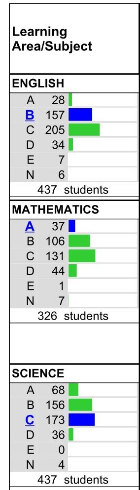 school report2