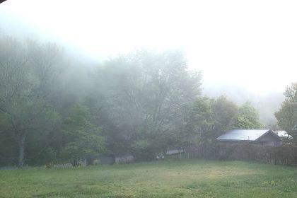 IMG_20240511_054728