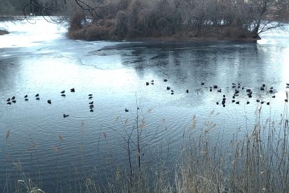 IMG_20260123_074437