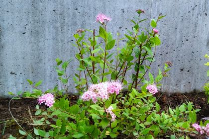 IMG_20250627_075320