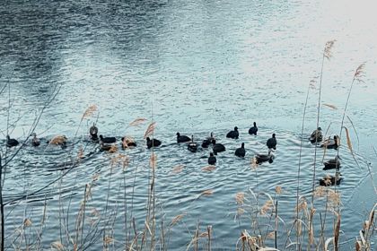 IMG_20260126_074124