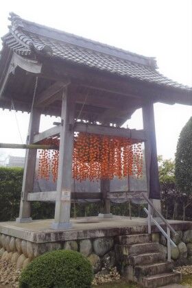 1108松源寺柿簾
