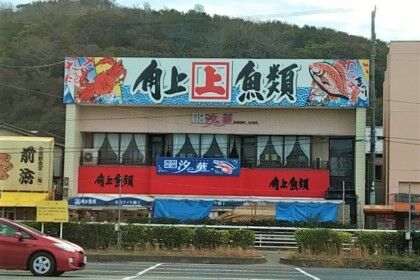 1118角上魚類