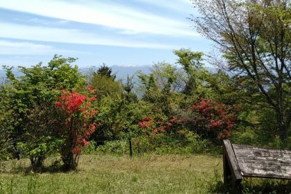 IMG_20230503_112441