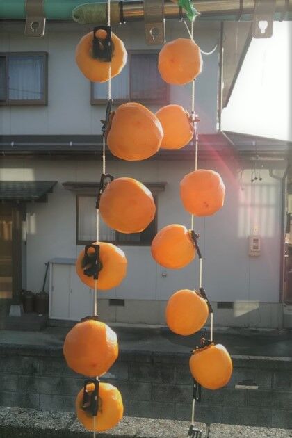 1108-2吊るし柿